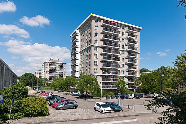 Hogewerf in Amsterdam