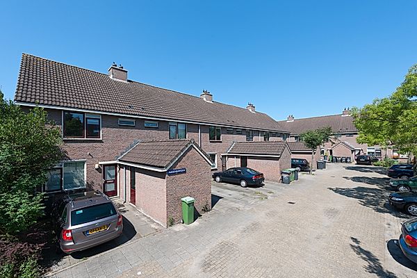 Paardenkamp in Zaanstad