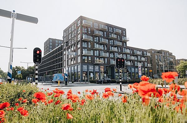 A rental house advertisment