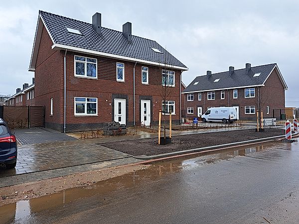 Boomgaard in Maasgouw